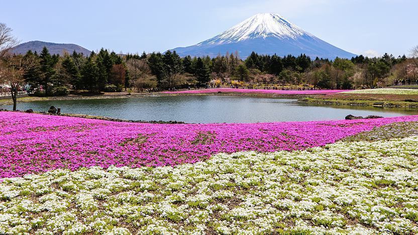 TẾT DƯƠNG LỊCH TẠI CUNG ĐƯỜNG VÀNG (OSAKA – KYOTO – YAMANASHI – TOKYO) TN