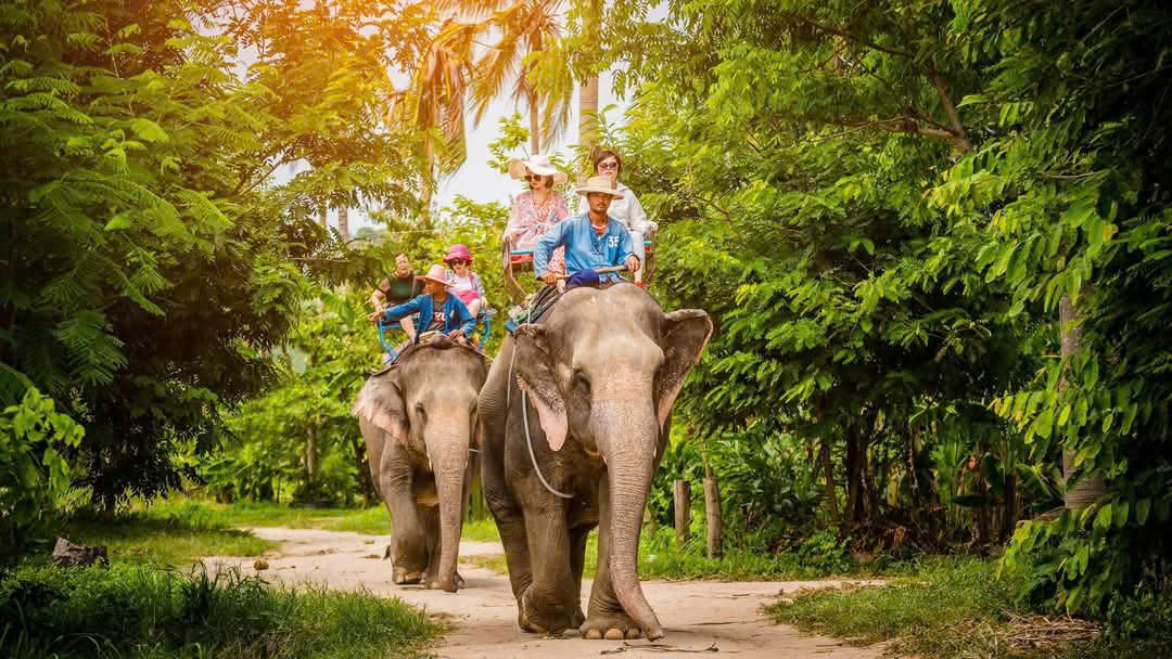BANGKOK  - SUAN THAI - PATTAYA (TN)