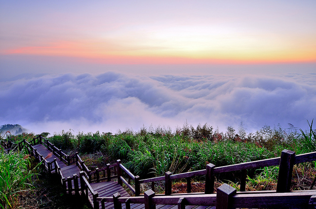 ĐÀI TRUNG - CAO HÙNG - ĐÀI BẮC - A LÝ SƠN (TN)