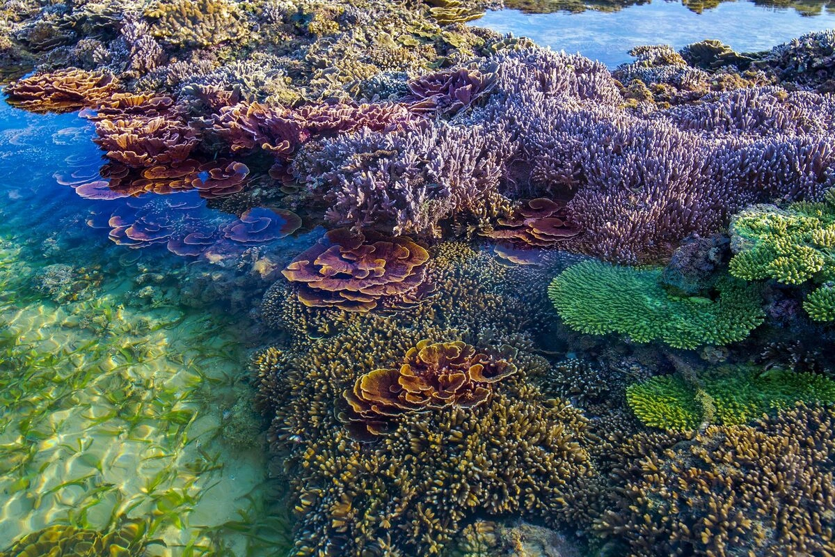 GEM ISLAND - PHU QUOC 4D3N