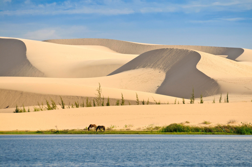 ONE-DAY MUI NE ADVENTURE FROM HO CHI MINH CITY